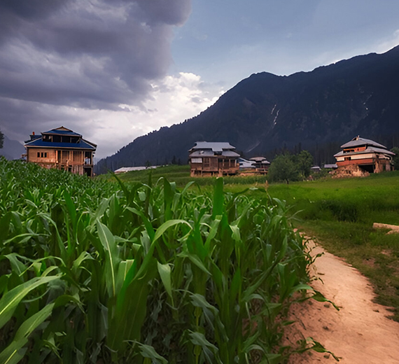 Before It's Too Late - Chapter Kashmir Valley