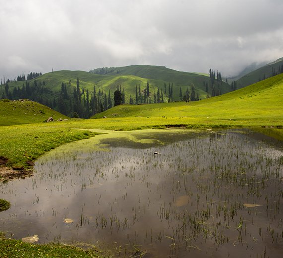 Sisters' Retreat (Sharan Forest)