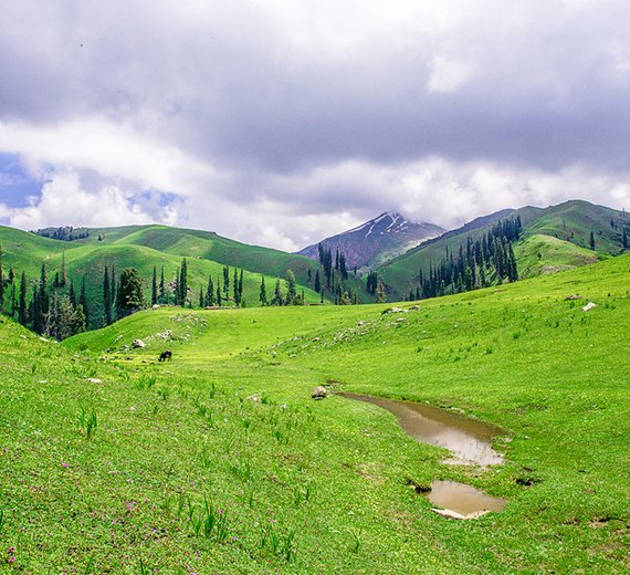 Sisters' Retreat (Sharan Forest)